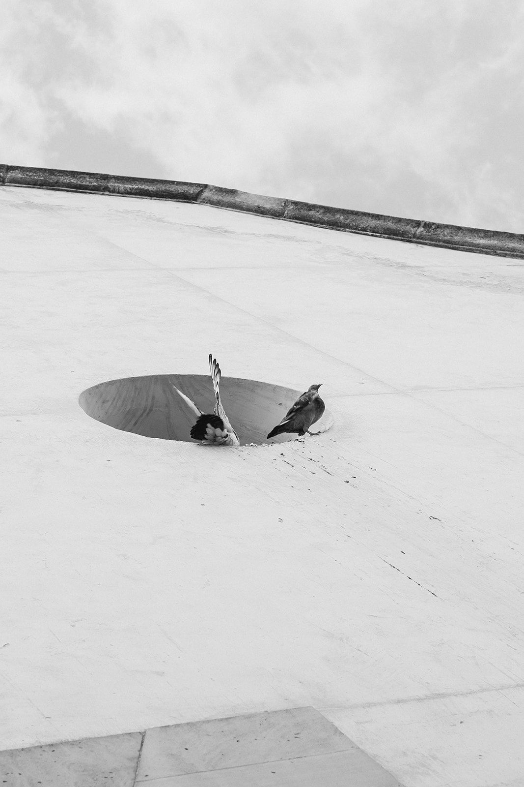 birds in a church An intimate elopement in Mallorca, Spain
