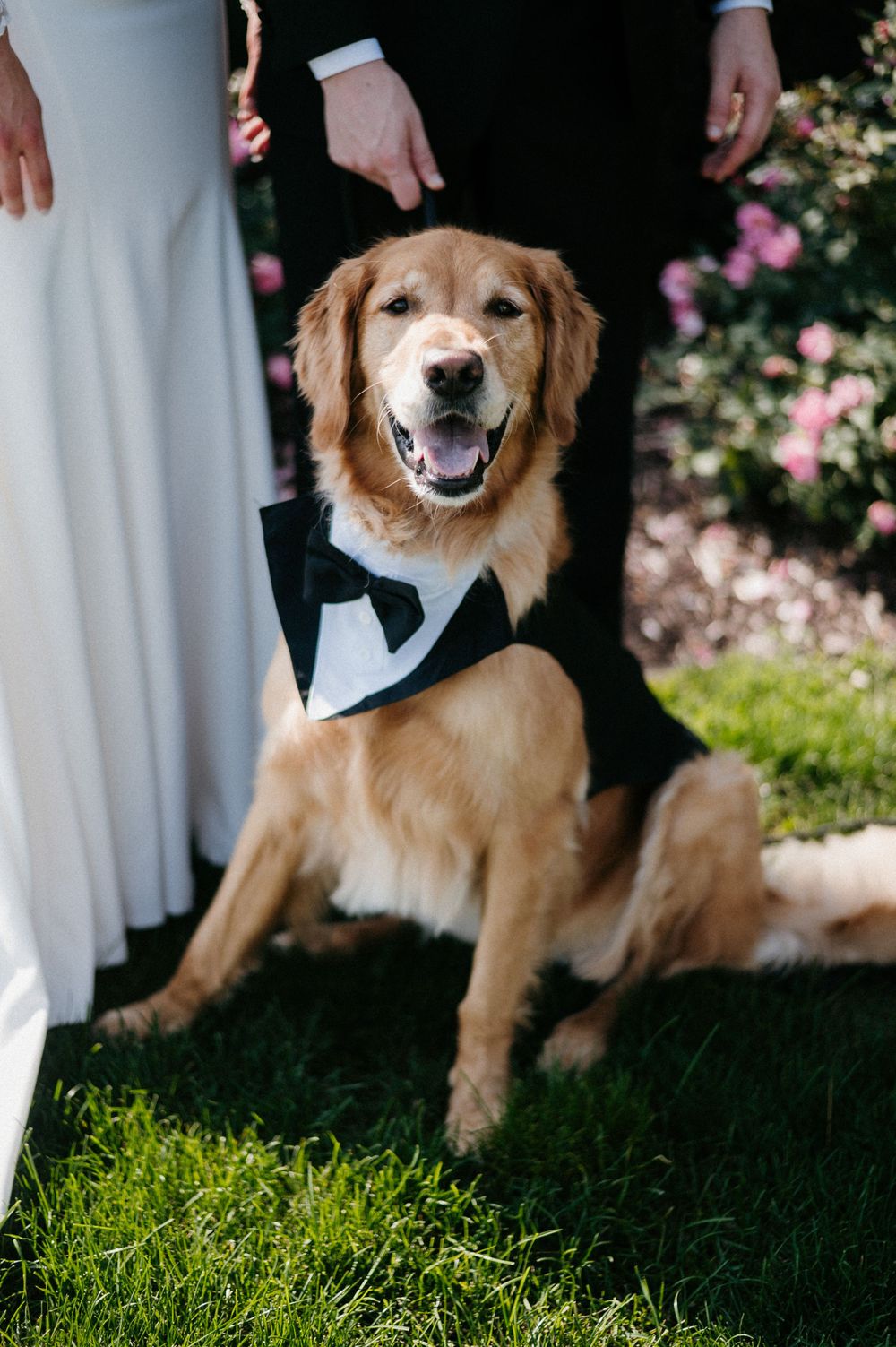 Wedding12