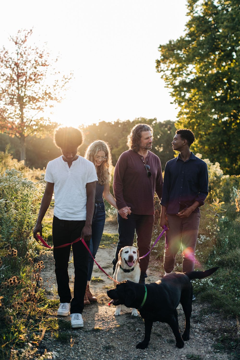 A group walking dogs together on a sunlit nature trail during golden hour.