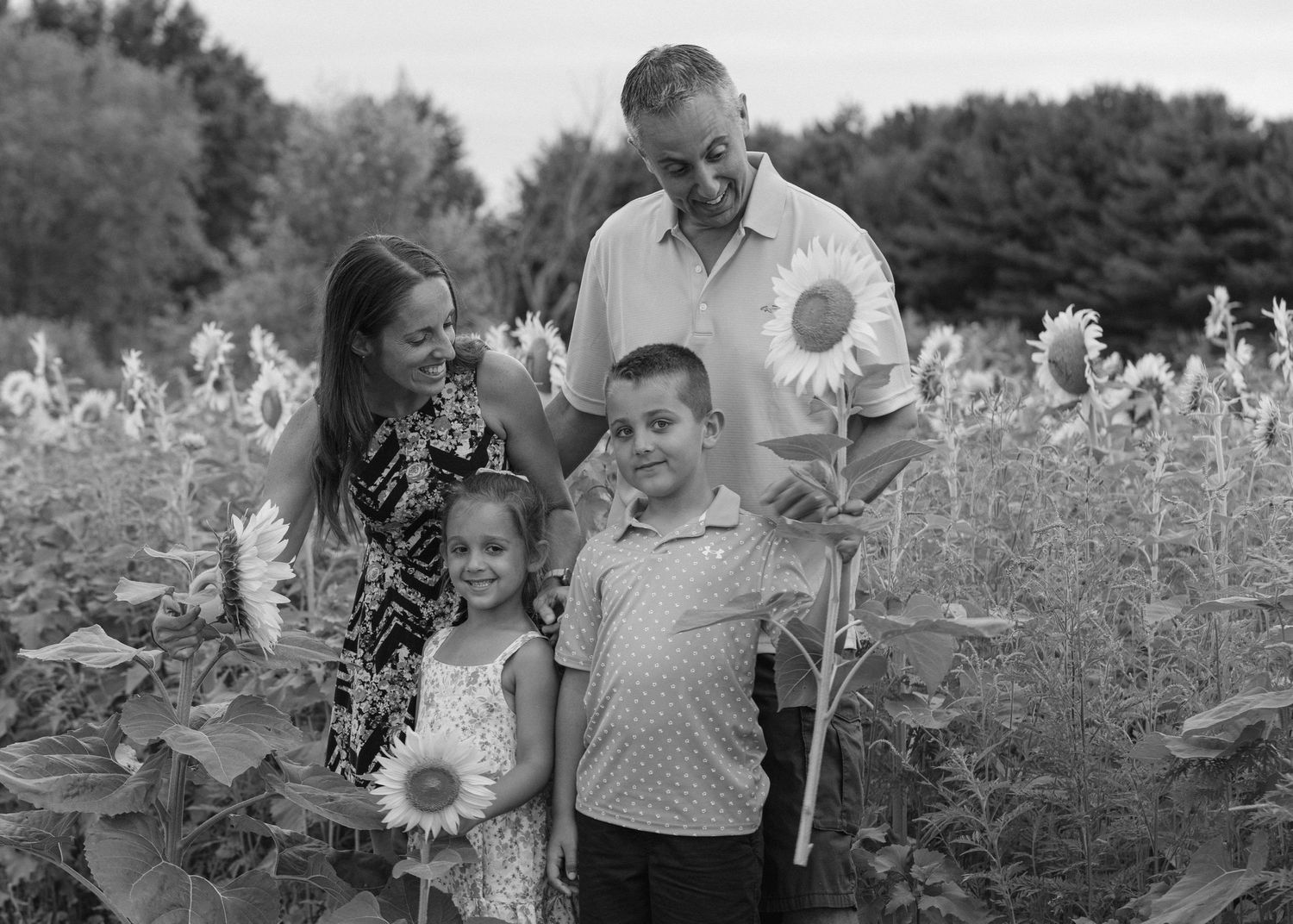 family in sunflower field