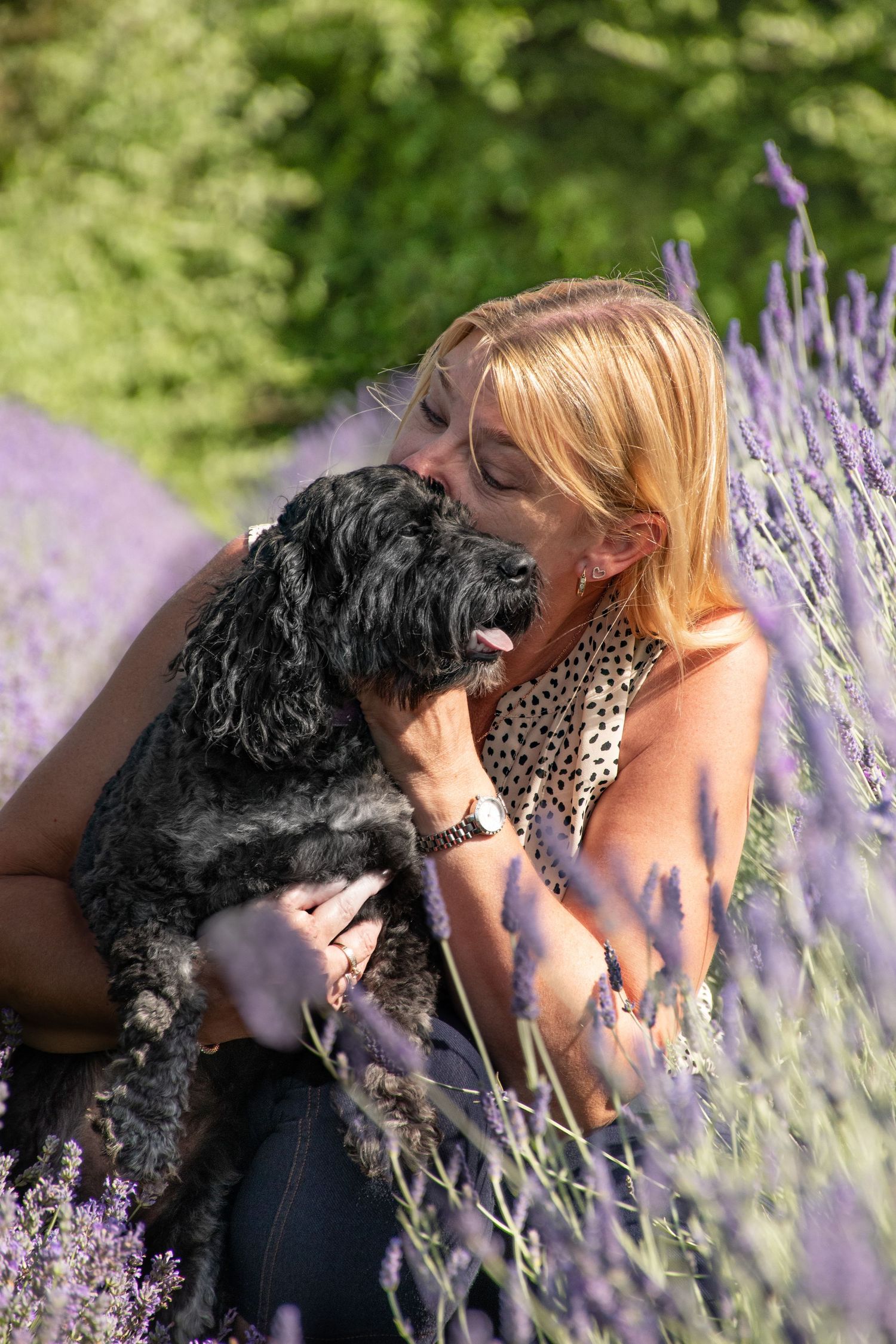 West Midlands Dog Photographer