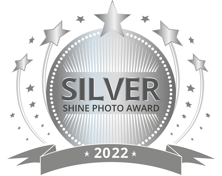 Silver award badge with stars and ribbons for Shine Photo Award 2022.