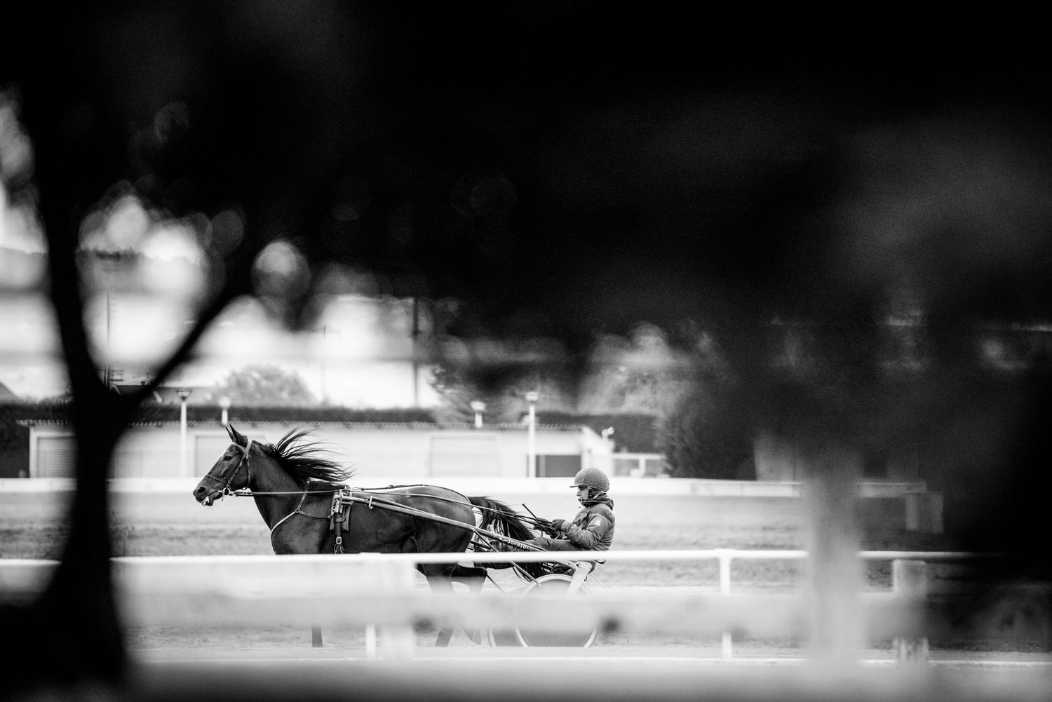 Black and white motion shot of a horse racing at high speed.