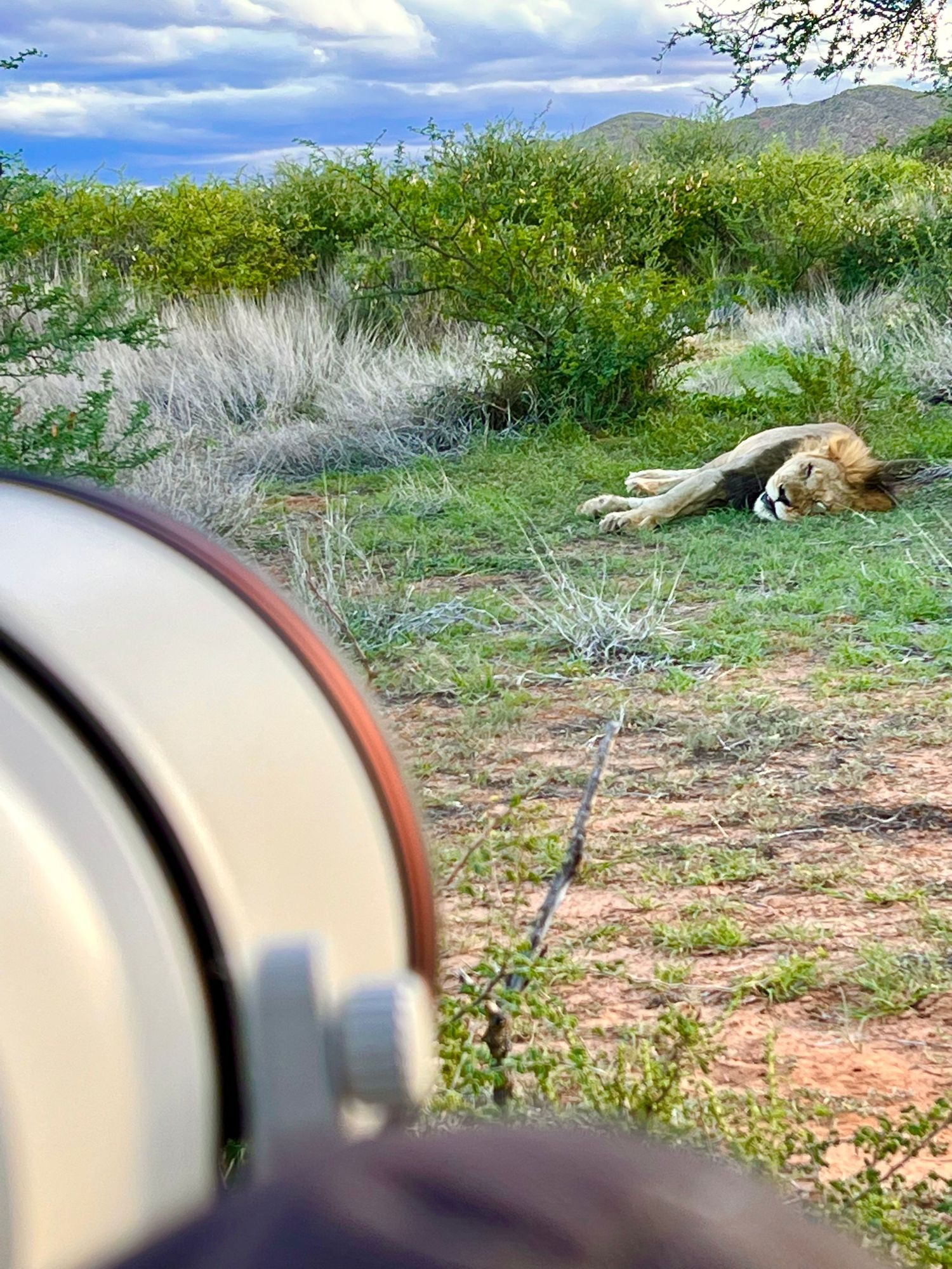 Wildlife photography equipment focused on distant savanna landscape.
