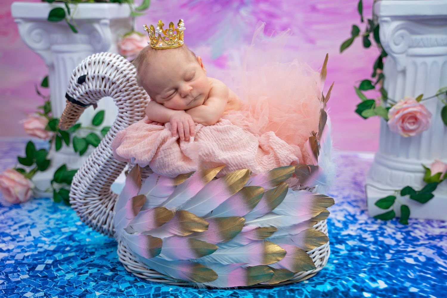 Newborn Baby Swan Princess Theme Newborn Photography Coral Springs Florida