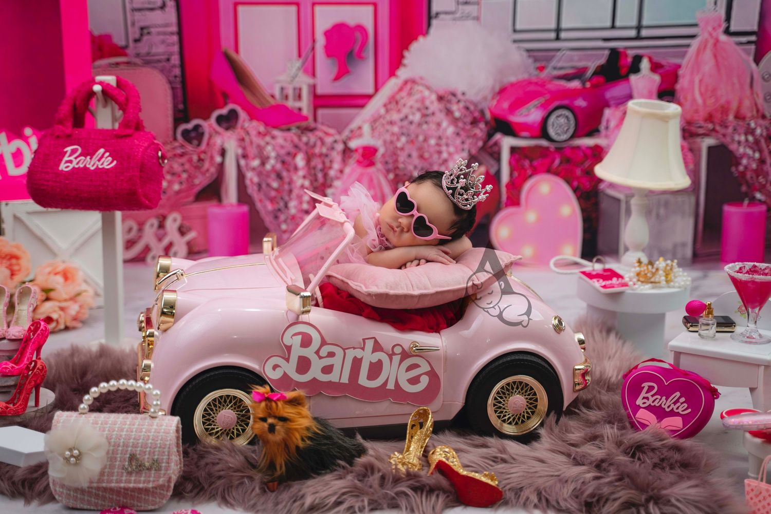 Newborn Baby Barbie session in Car Newborn Photography Coral Springs Florida