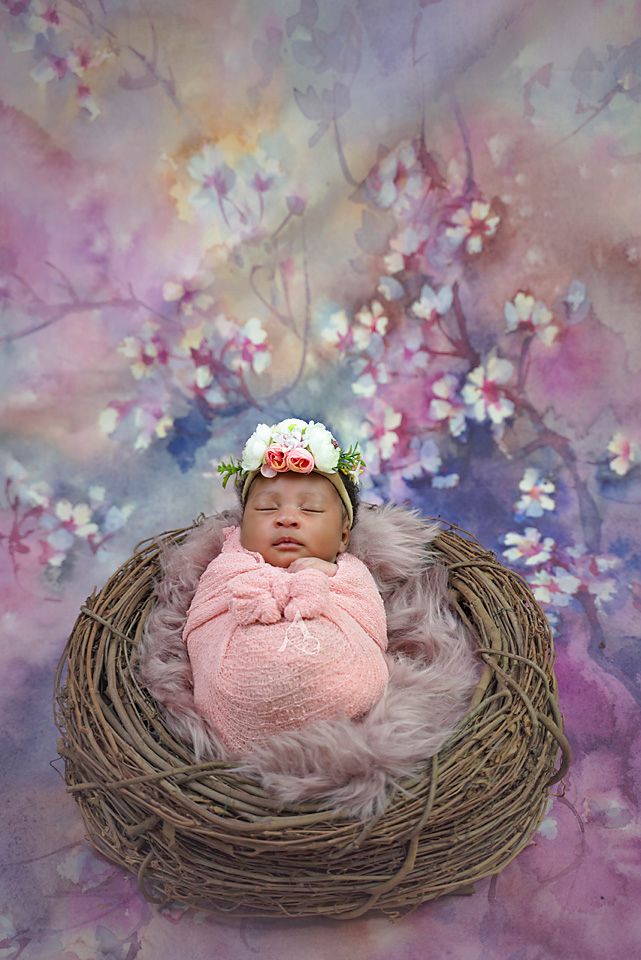 Newborn photography in nest prop with floral backdrop and pink wrap.