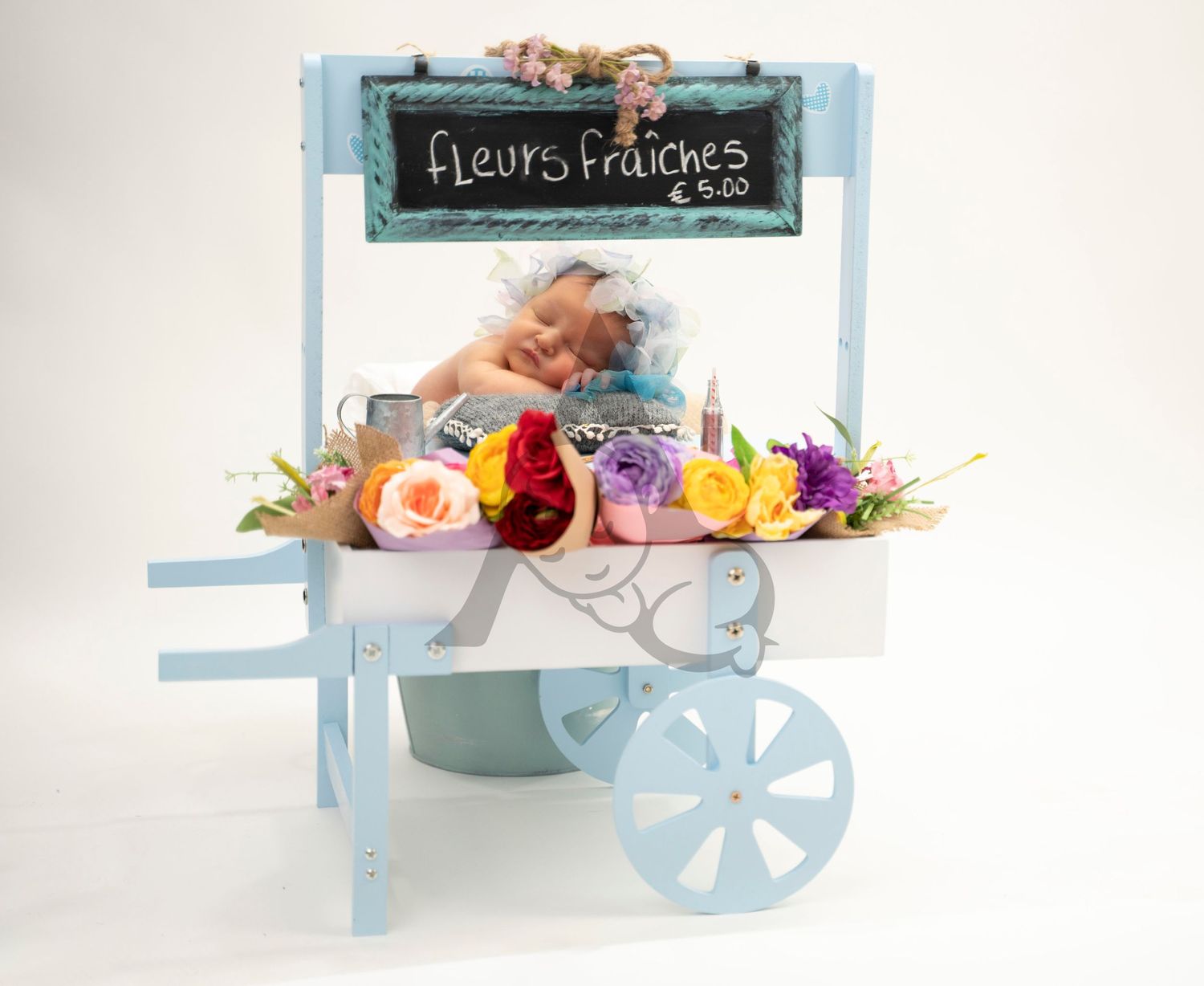 A charming light blue vintage flower cart display with colorful blooms and a chalkboard sign reading 'fleurs fraiches'.