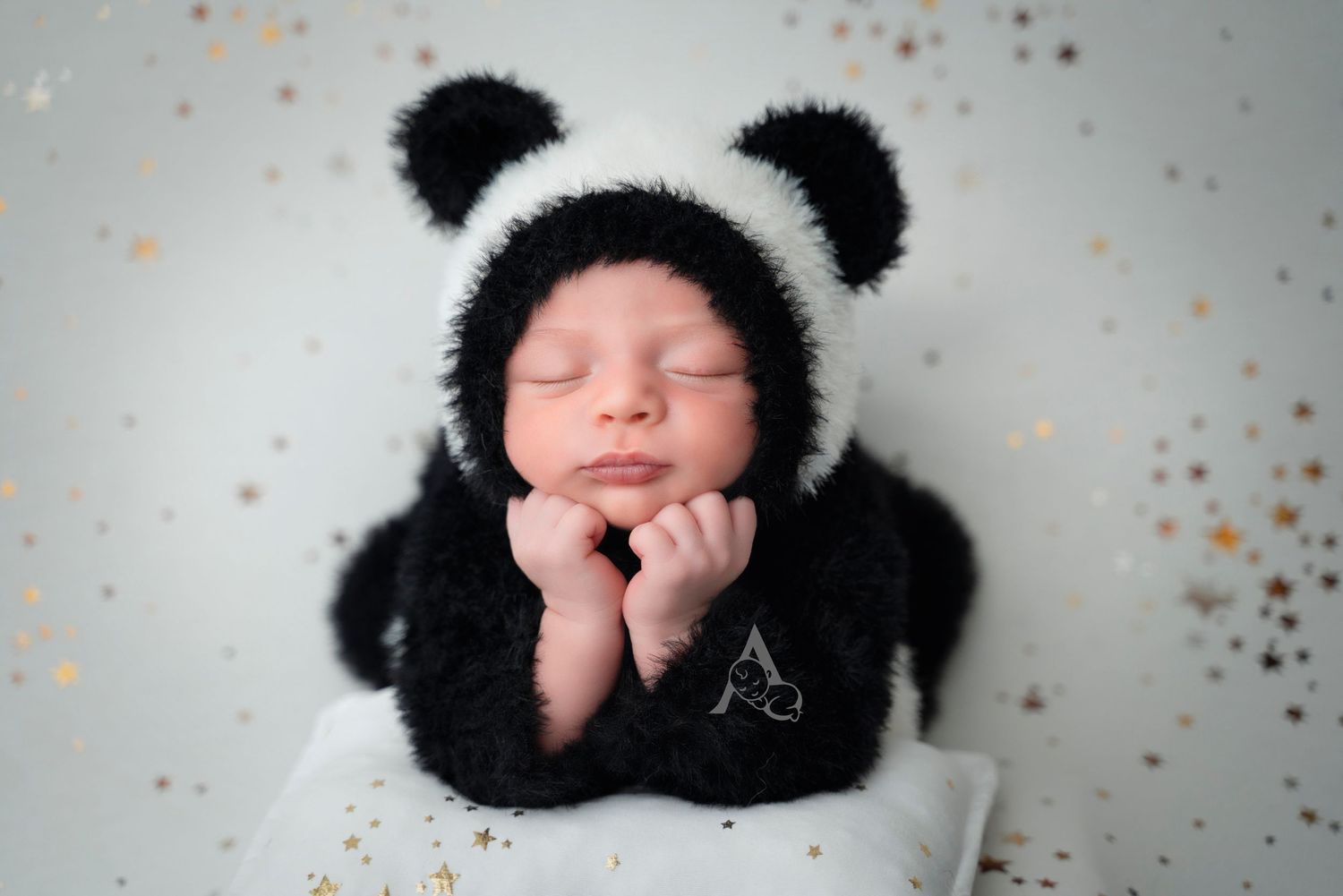 Newborn Baby Panda Newborn Photography Coral Springs Florida