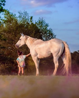 unposed natural family photographer, high desert Southern California family photographer kid portraits