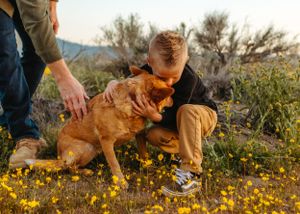 unposed natural family photographer, documentary lifestyle high desert Southern California family photographer