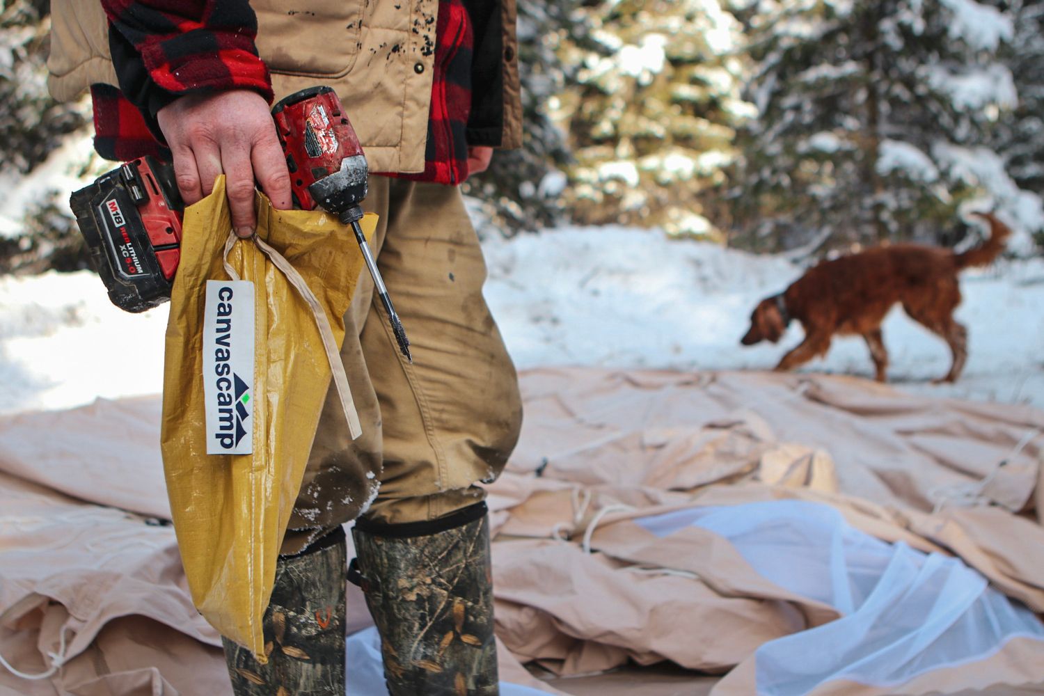 Winter camping gear and equipment with a dog visible in the snowy background.
