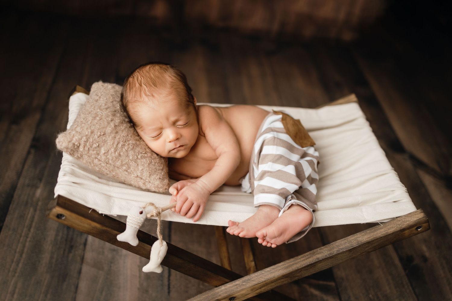 tampa newborn photographer