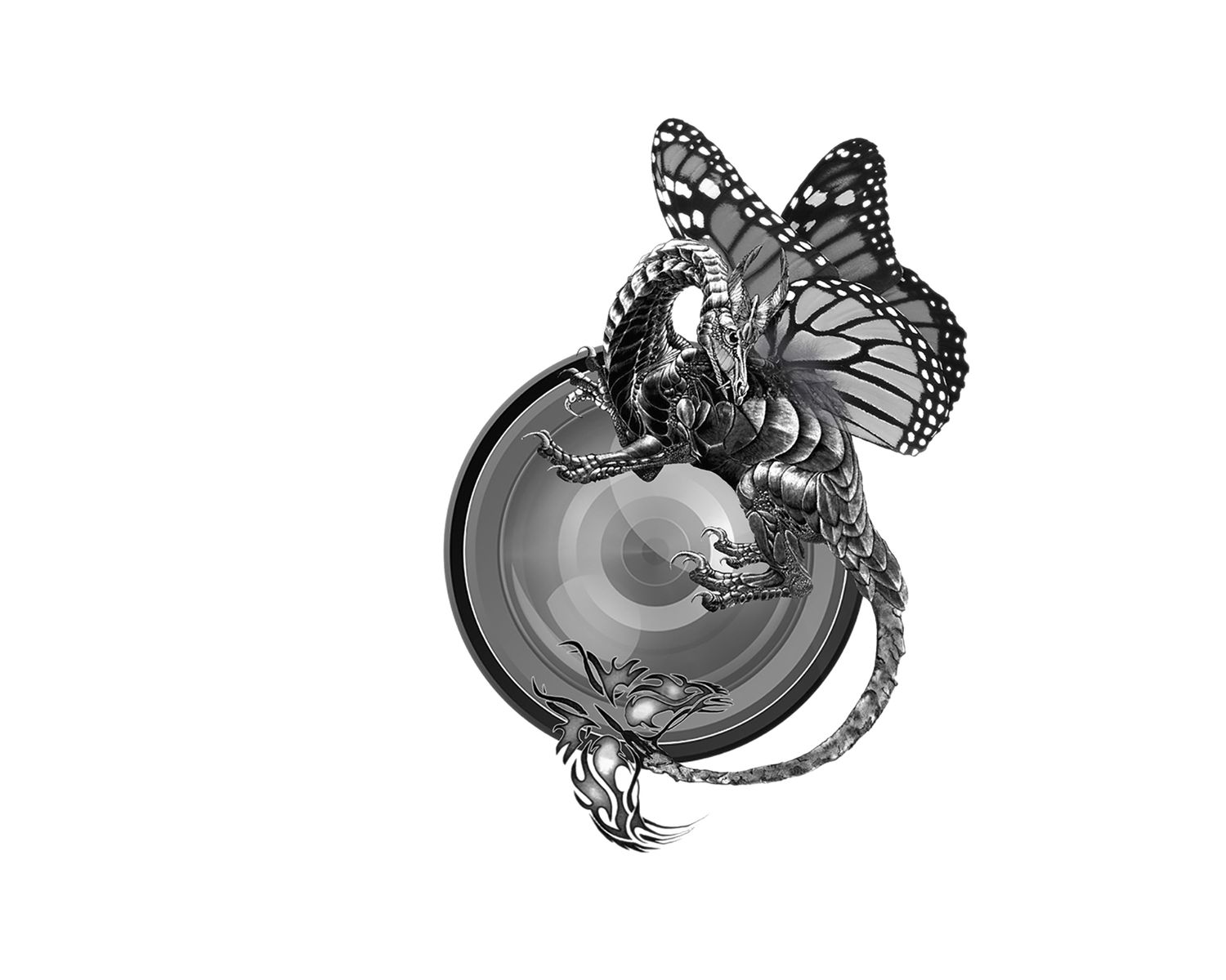 Why Dragon Papillon?