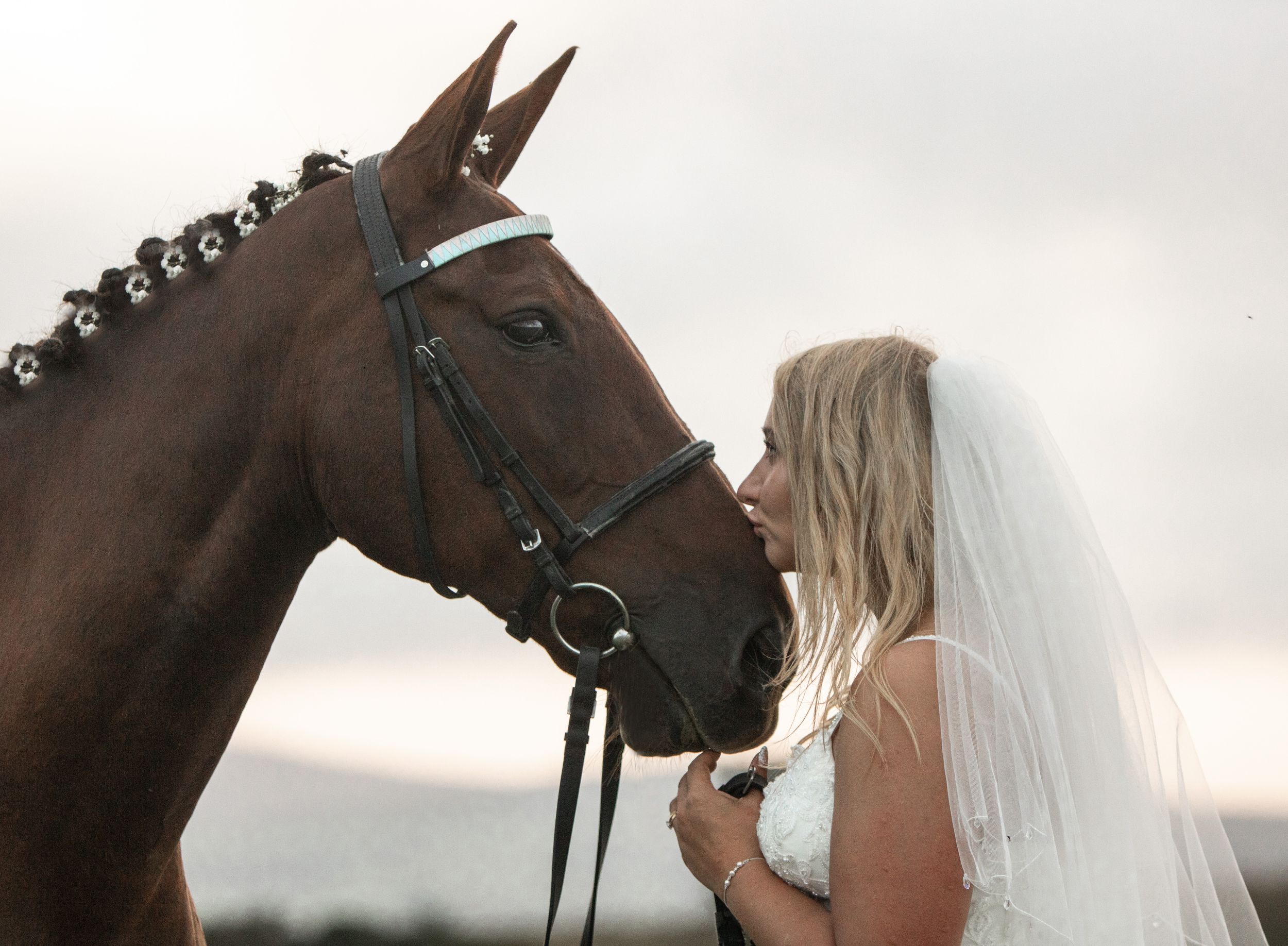 Close-up series showing tender moments between a horse and someone in bridal attire.