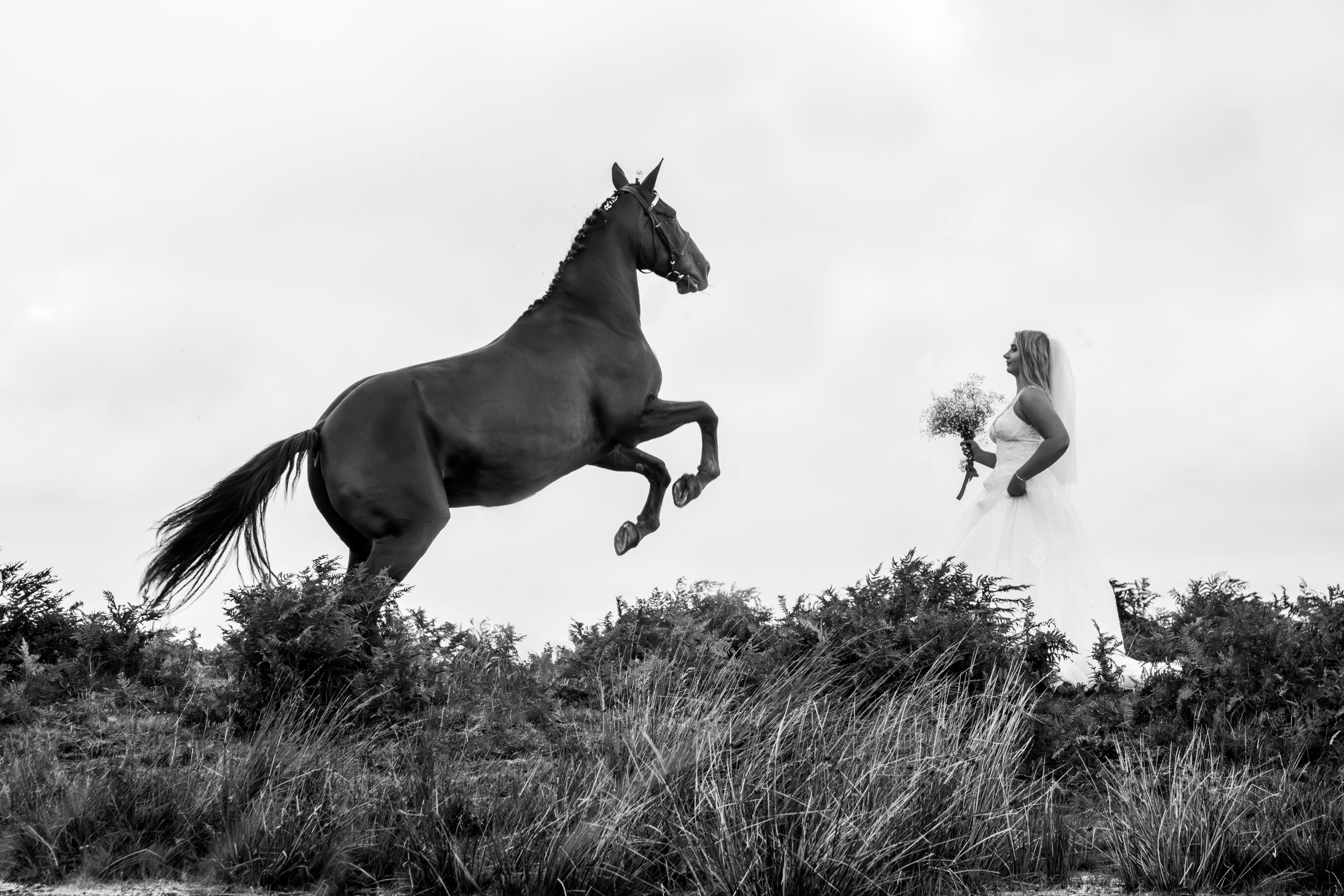Artistic silhouette sequence showing a horse galloping and jumping across a dramatic landscape.