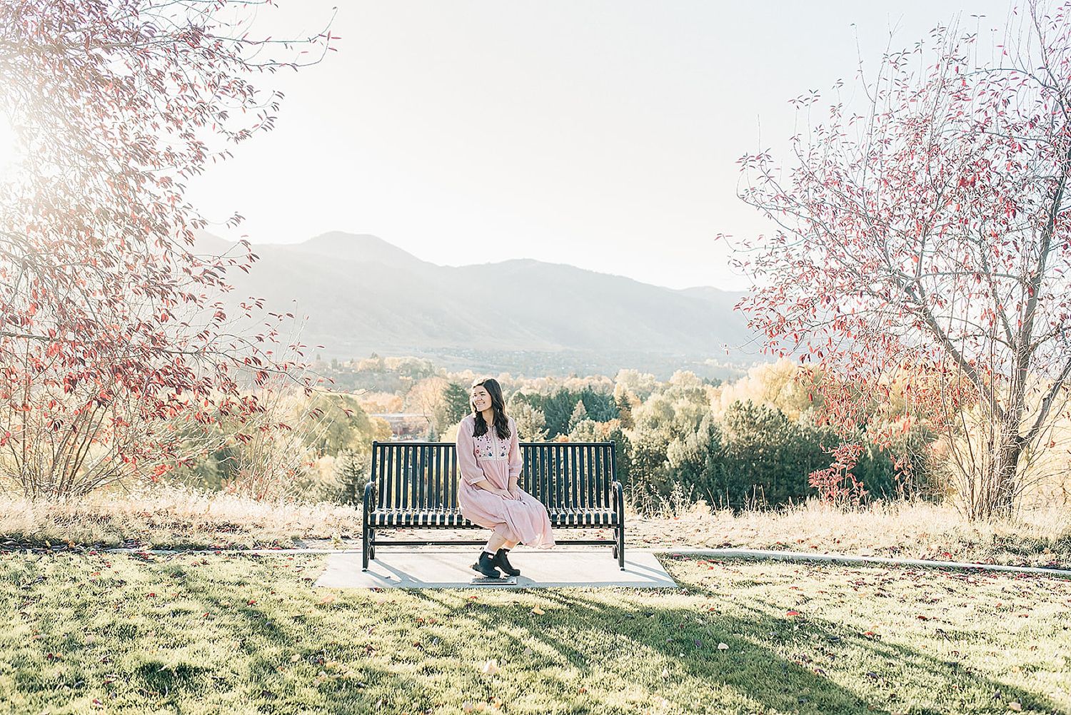 Park bench surrounded by blooming cherry blossoms with mountains in background.