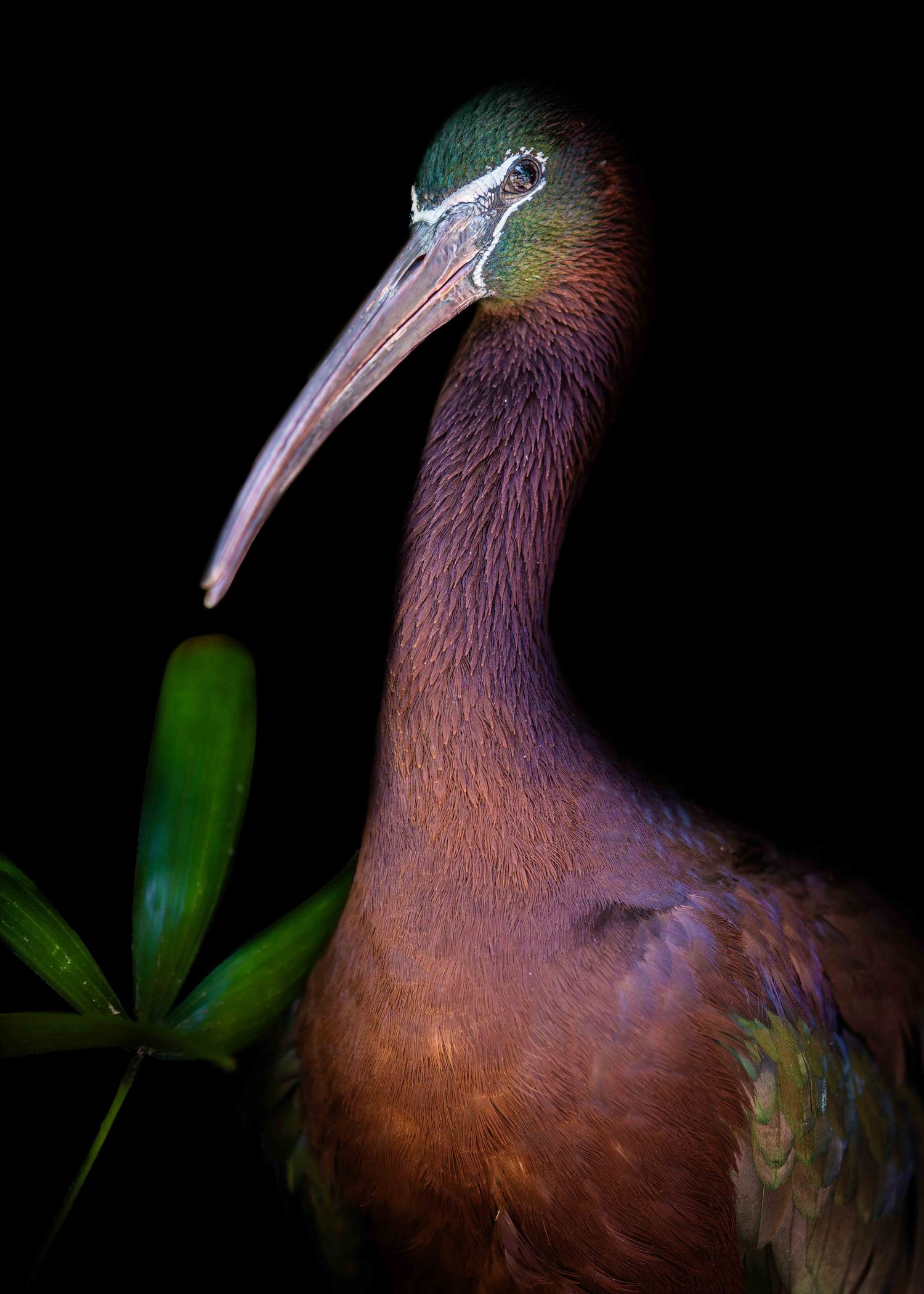 John Peters Photography