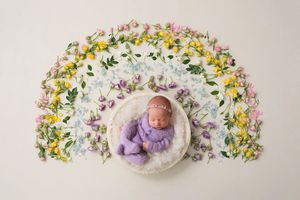 newborn in flower rainbow digital art