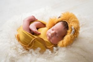 the lion sleeps tonight