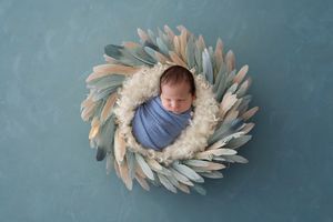 newborn baby boy in feather wreath