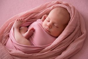 little pink nest