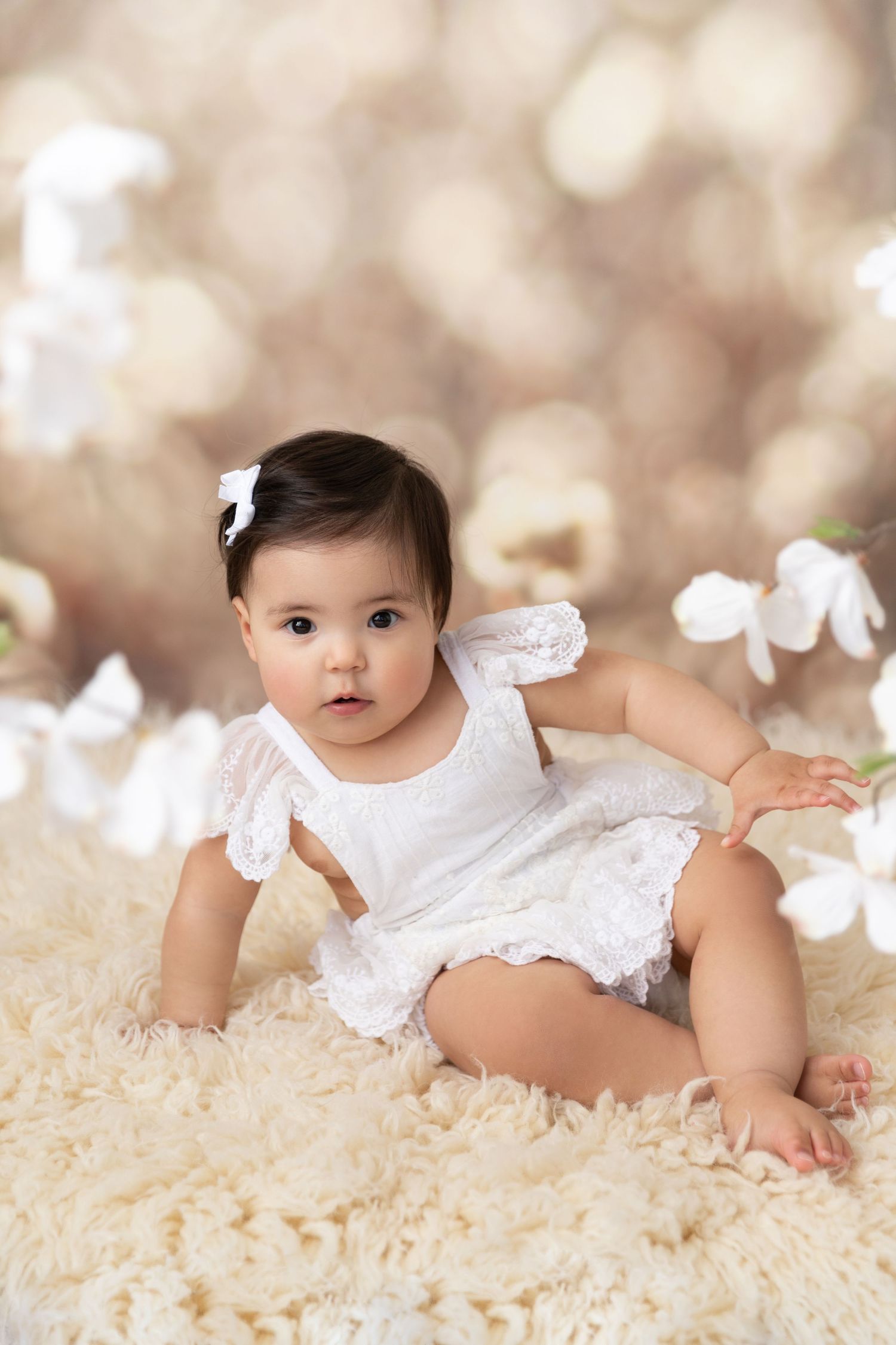 charlotte baby photographer