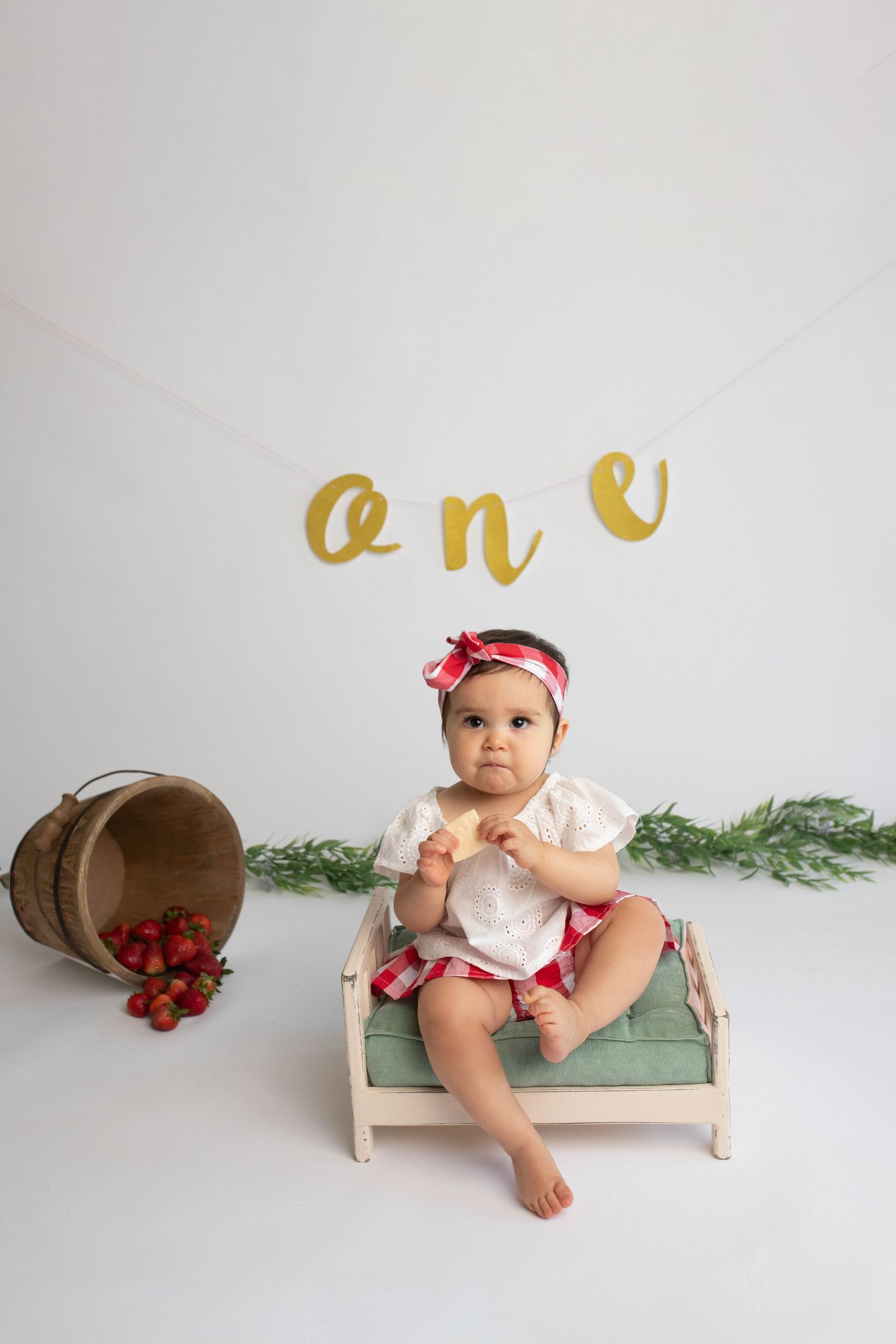 one year old baby photography in Huntersville, NC