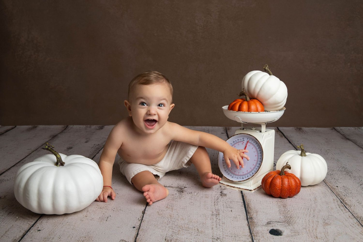 charlotte nc cake smash photographer