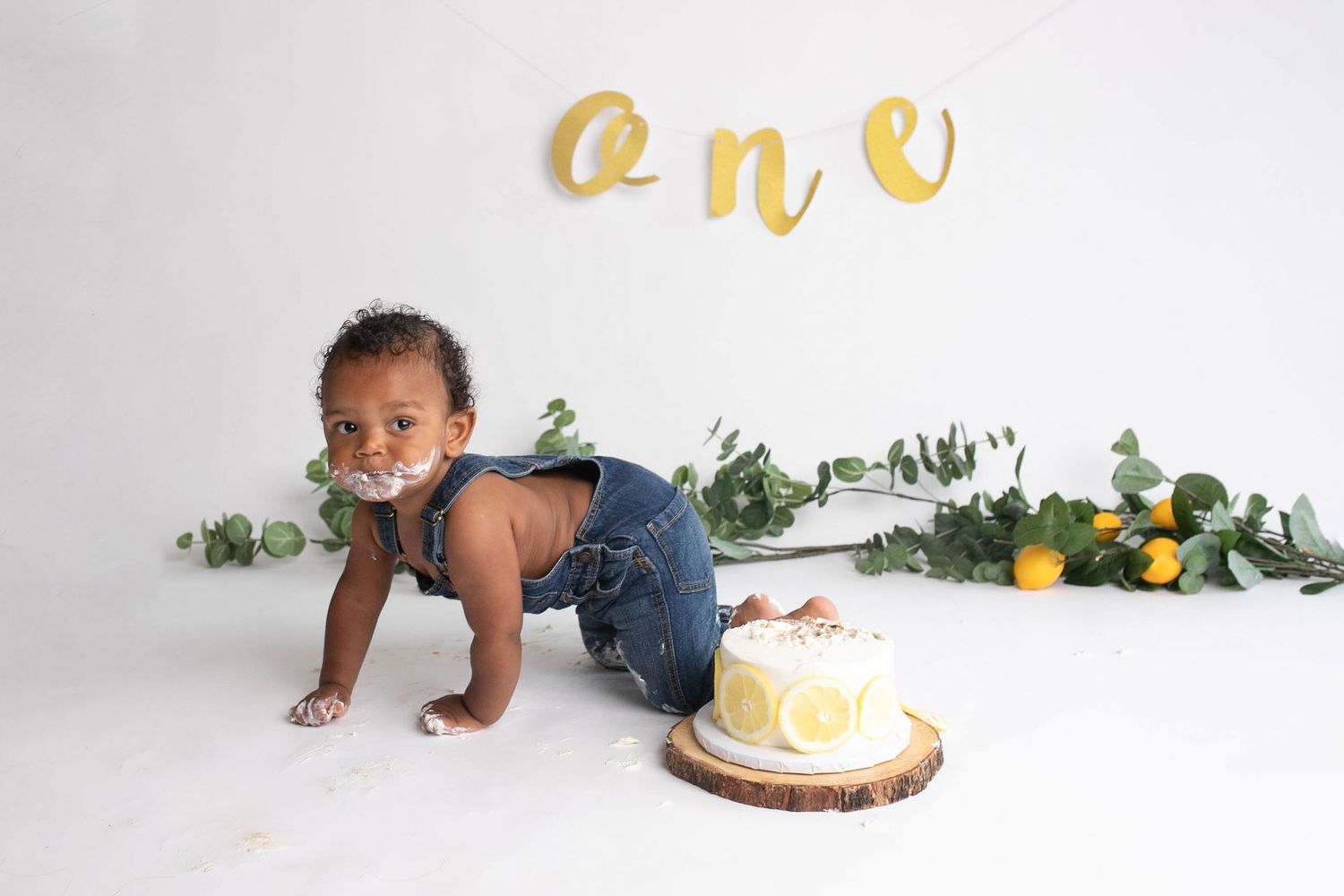 cake smash photography huntersville nc