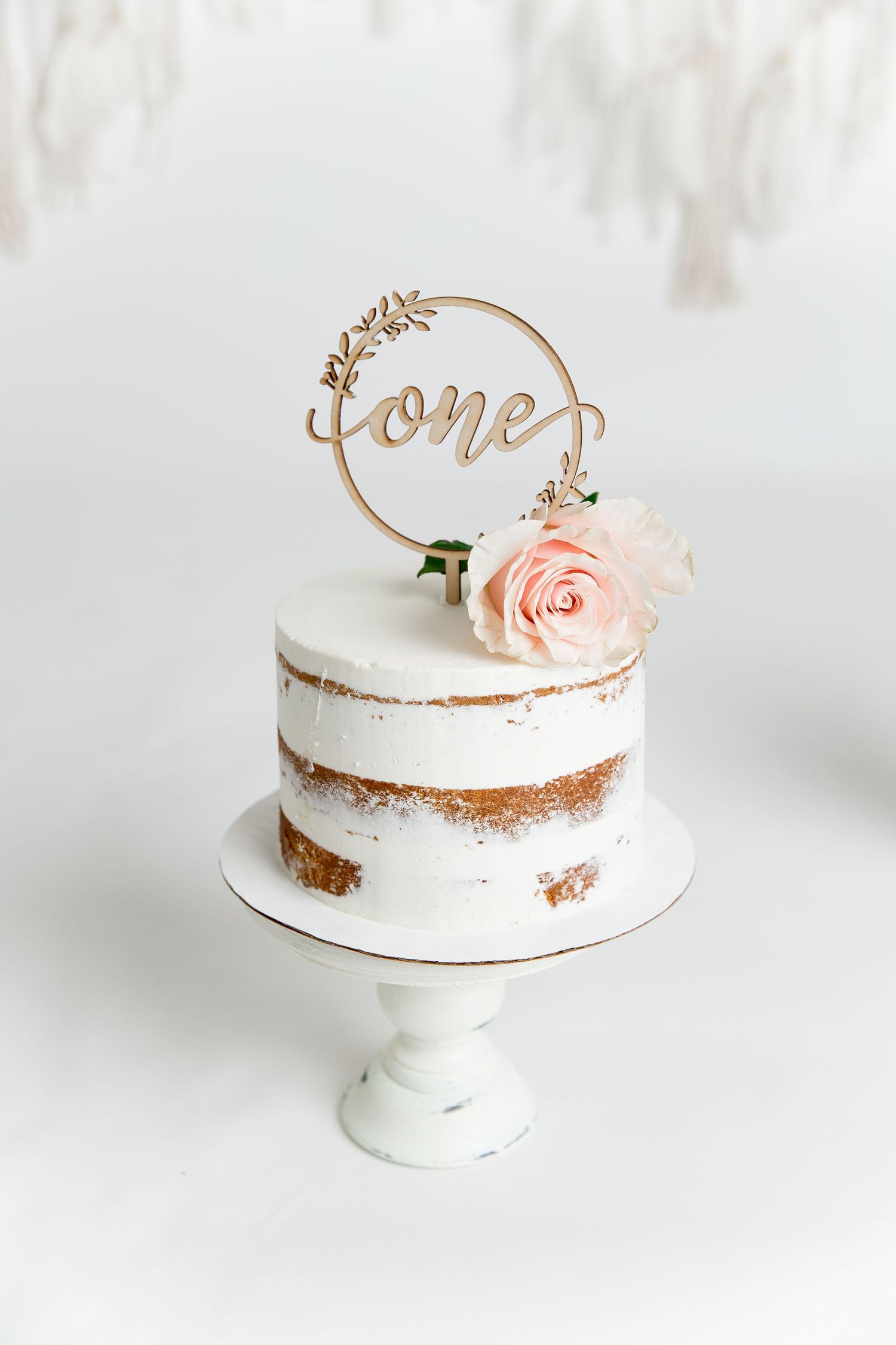 huntersville nc cake smash photographer