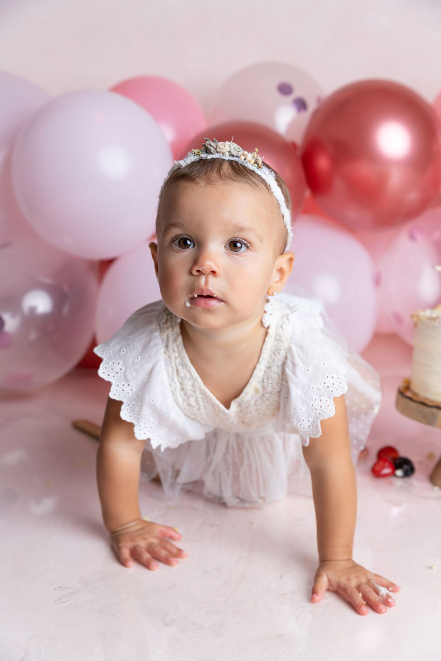 charlotte cakesmash photographer