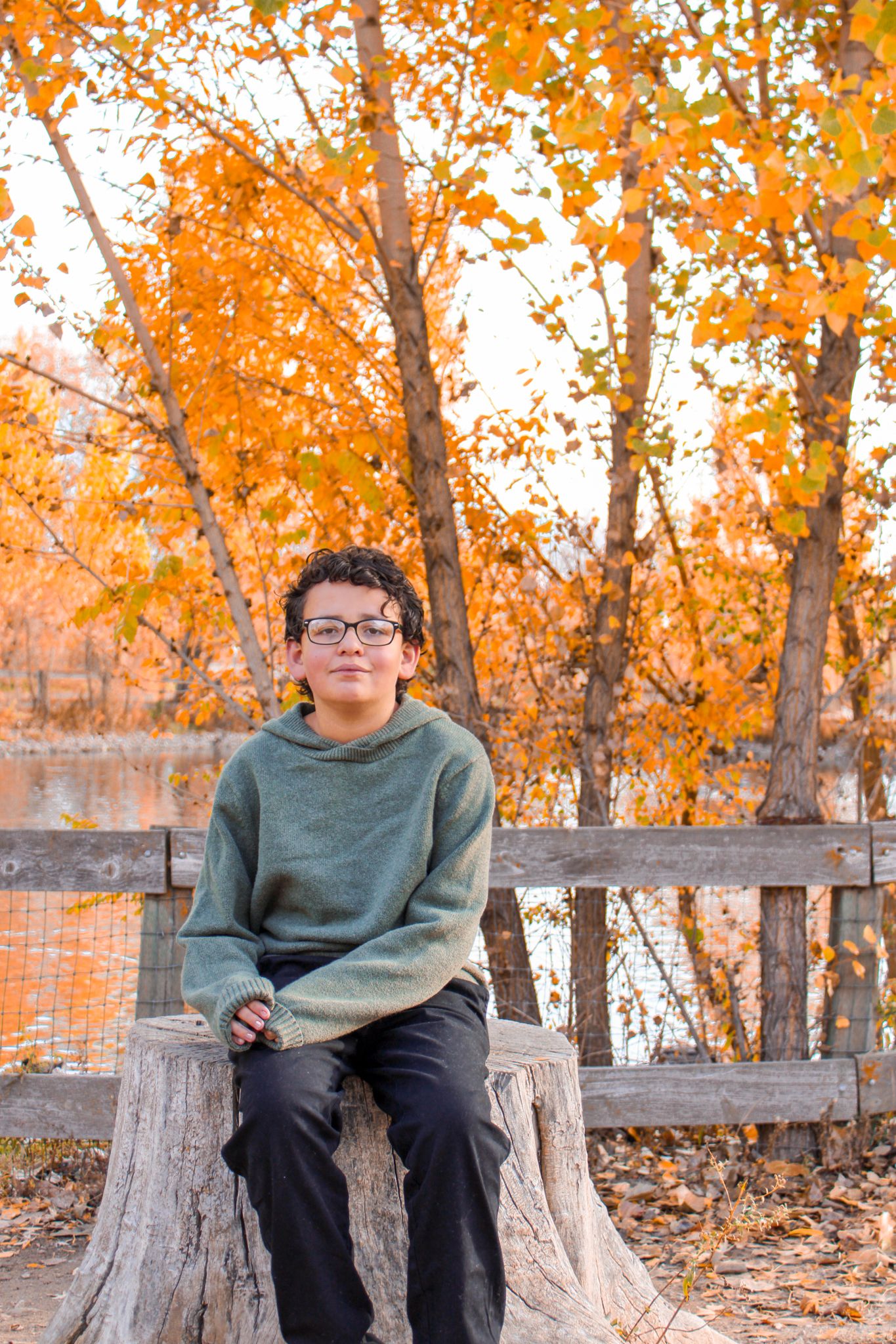 Person in green sweater sits on tree stump surrounded by vibrant fall foliage.