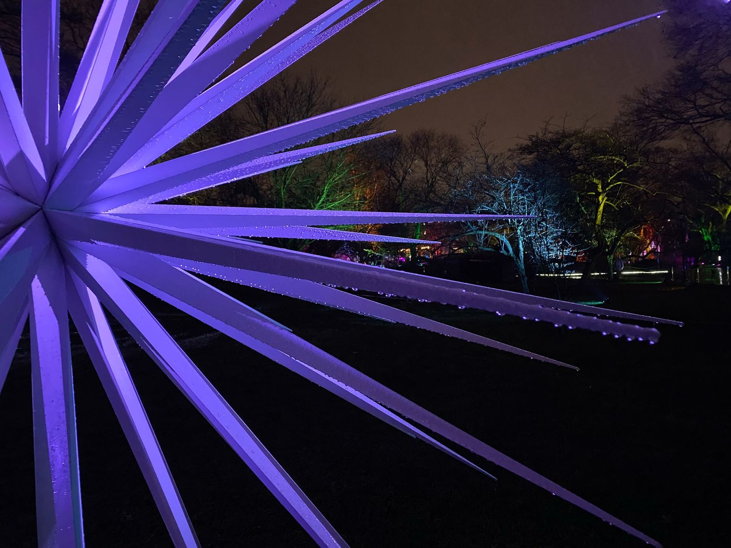 Purple starburst light installation against dark night sky.