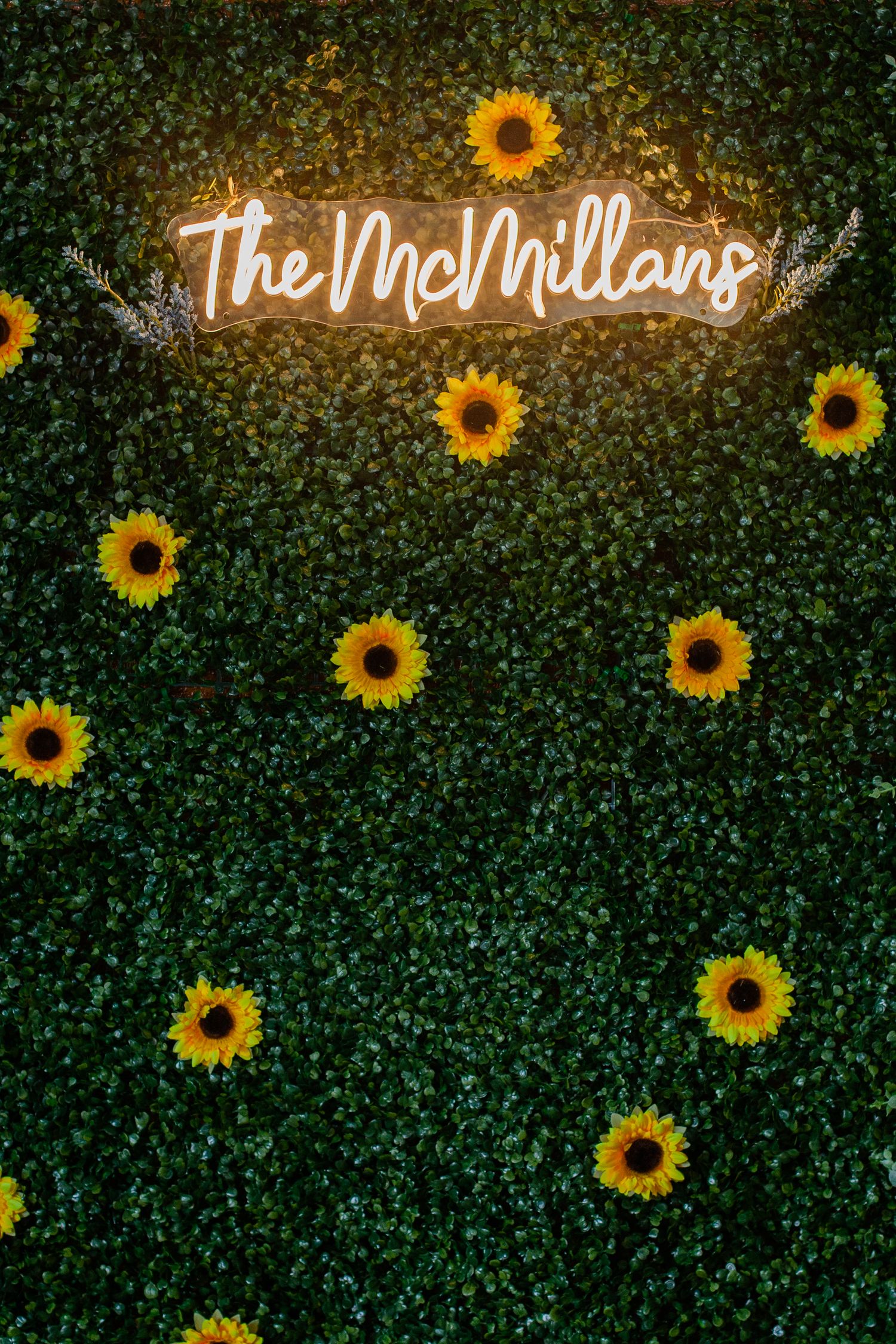 Illuminated neon sign reading 'The McMillans' with sunflowers against a green hedge wall.