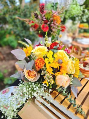 Weddings, wedding reception, outdoor wedding reception.