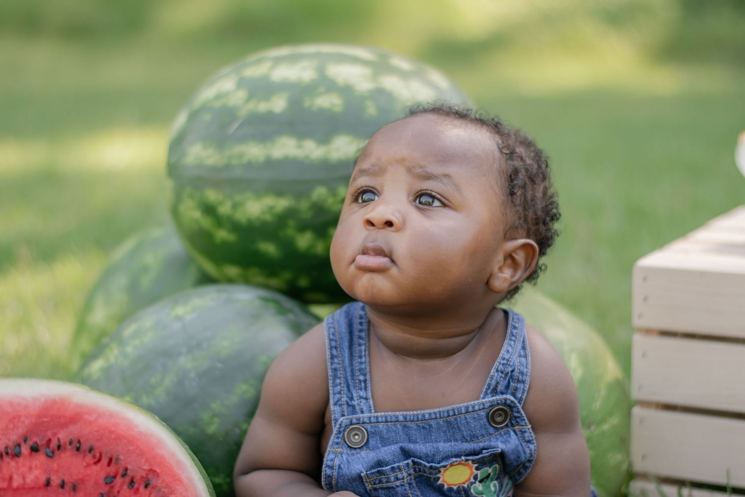 Family Photography, mini session, cairo,ga, thomasville ga, tallahassee,fl