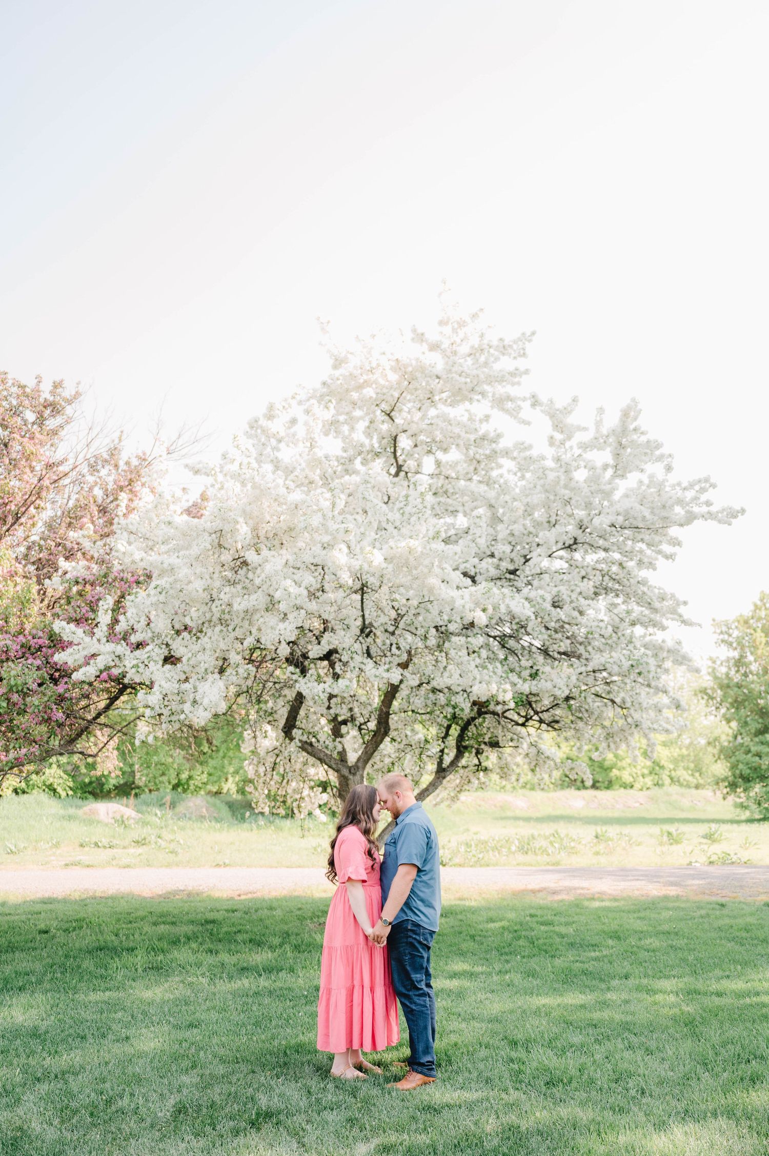 A couple standing under a blooming white cherry blossom tree in a romantic spring scene.