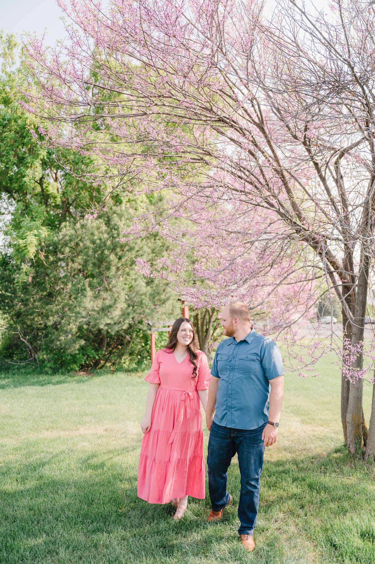 Couple walking beneath blooming cherry blossom trees on a spring day.