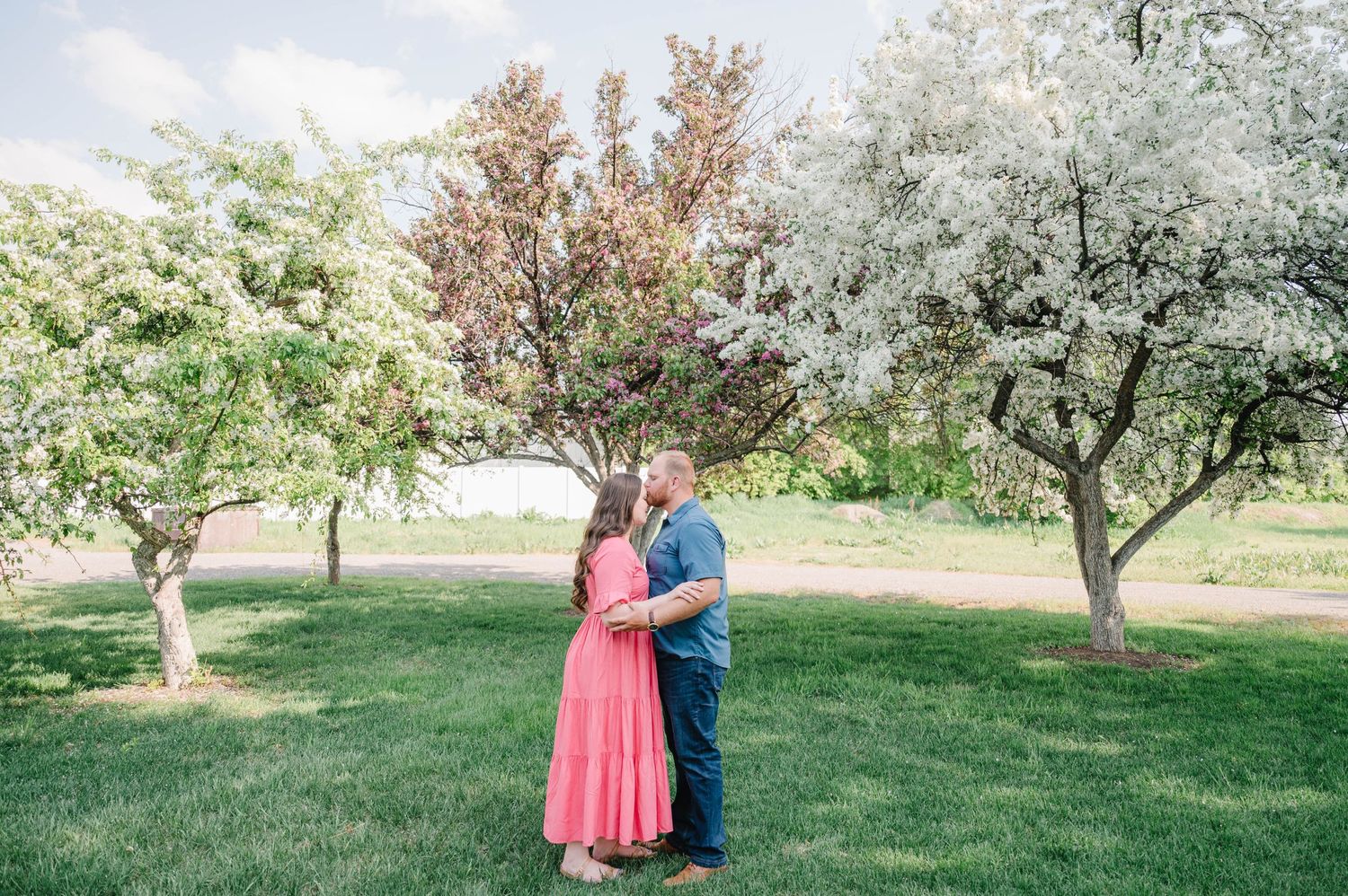 Couple embracing in an orchard of blooming spring trees on a sunny day.