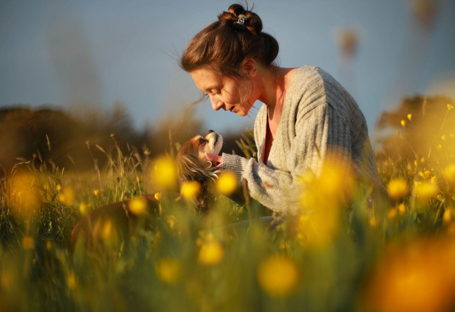 Girl and dog laying in meadow with yellow wildflowers during golden hour.