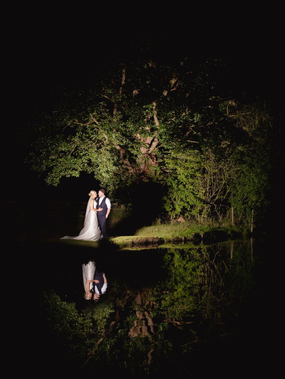 A romantic nighttime garden portrait illuminated by dramatic lighting against dark foliage.