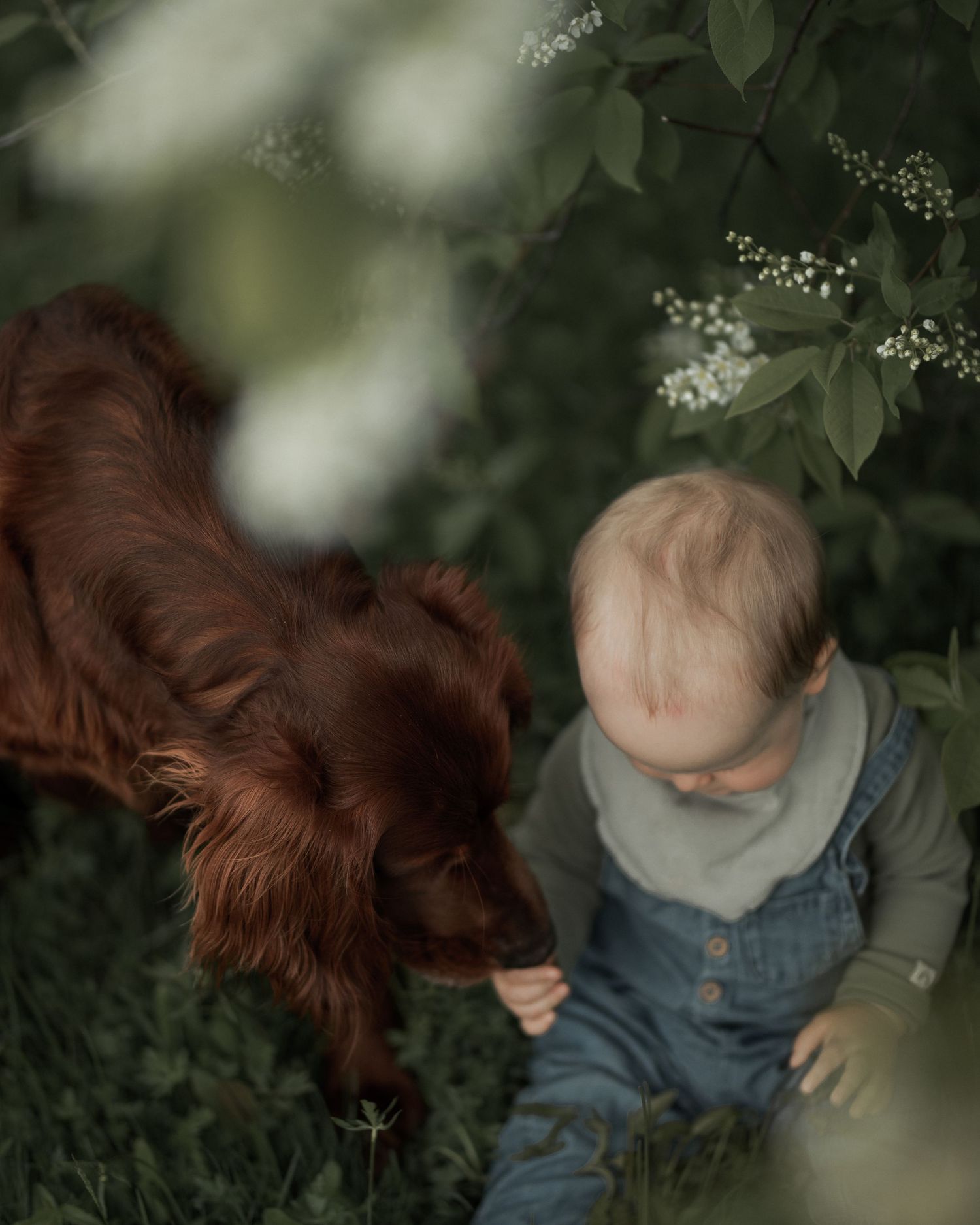 Familjefotografering Gällivare Fotograf Norrbotten