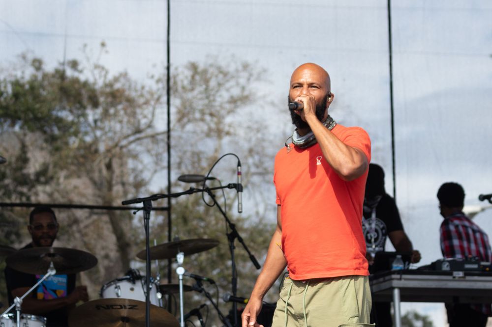 Artist/Musician/Actor Common