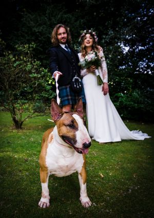 Bride and Groom with their bull terrier dog at Taypark House wedding in Dundee, hotel grounds in background.  Groom in kilt.