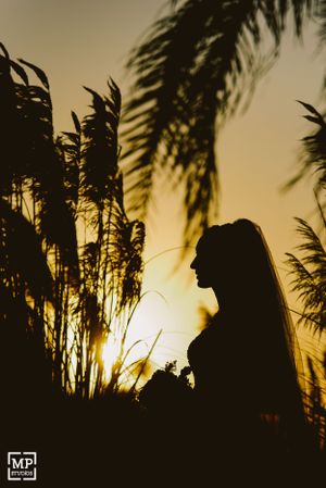 Silhouette figure stands against golden sunset with palm fronds creating dramatic shadows and contrast.
