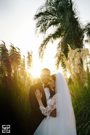 Sunset wedding photo with couple embracing among tall pampas grass and palm trees.