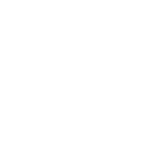 White typography logo design for Onyx Fox Boudoir Photography on black background.