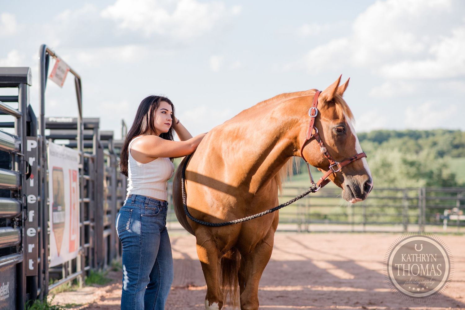A chestnut horse receives gentle grooming beside metal gates at a ranch.