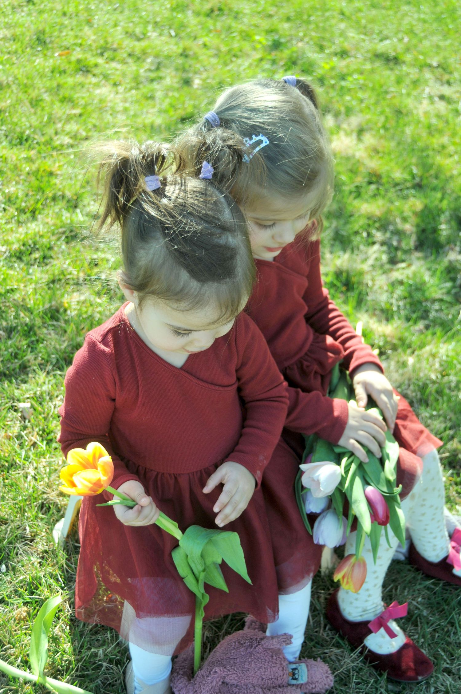 sisters looking down in color photography with flowers